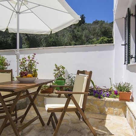 Yannis Nest Apartment Lakka  Bagian luar foto